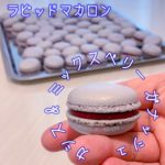 67回目！失敗しないラピッドマカロンで作るカシスとベリーのマカロン